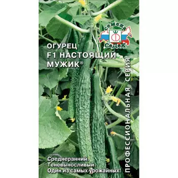 Огурец настоящий мужик f1 0,2г