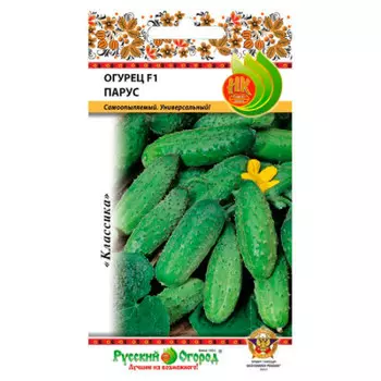 Огурец парус f1 300184