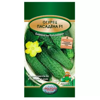 Огурец пасадена f1 10 шт поиск
