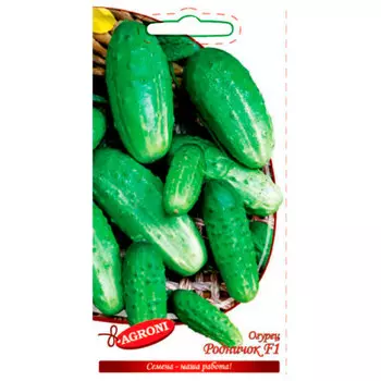 Огурец родничок. f1 0,3г агрони