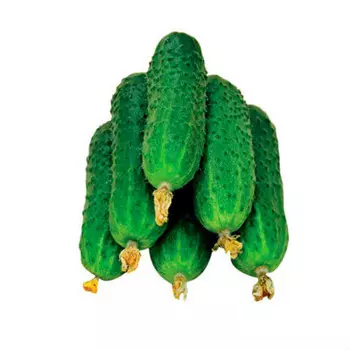 Огурец тепличный колючий вес