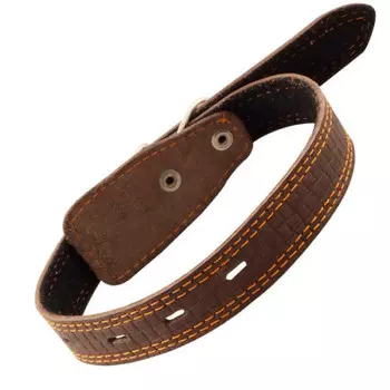 Ошейник Гамма кожаный 25мм* 55см с украшением