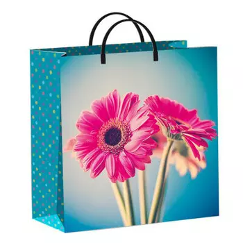 Пакет мягкий пластик большой 32*42см СанВест