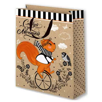 Пакет подарочный крафт 18*23 см Микрос белка