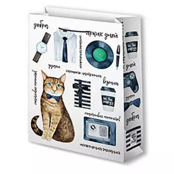 Пакет подарочный ламинированный 22*31 см Микрос мужские аксессуары