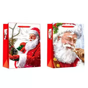 Пакет подарочный нг дед мороз 26х12х32см с8100