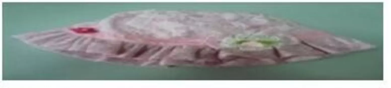 Панама детская 228-10д