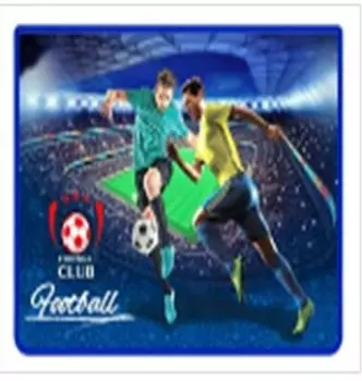 Папка для тетрадей а4 проф-пресс футболисты пластик на молнии пт-6049