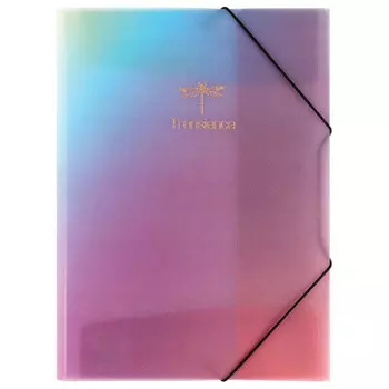 Папка на резинках Centrum а4 88304