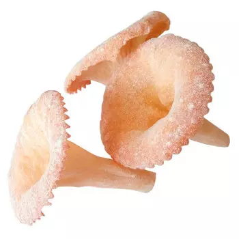 Печенье лисички 130г в сахарной пудре князев