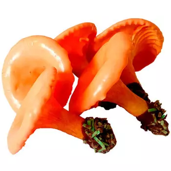 Печенье лисички 200г классические князев