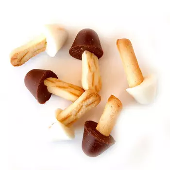 Печенье опята в глазури кузякова