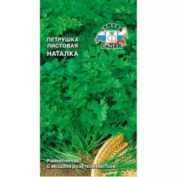 Петрушка наталка 2г Седек