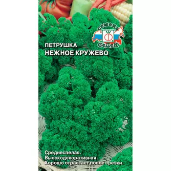 Петрушка нежное кружево листовая
