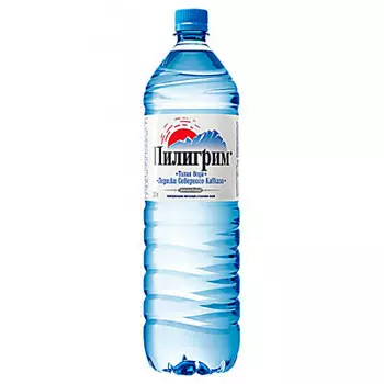 Питьевая вода пилигрим 1.5 л газ меркурий