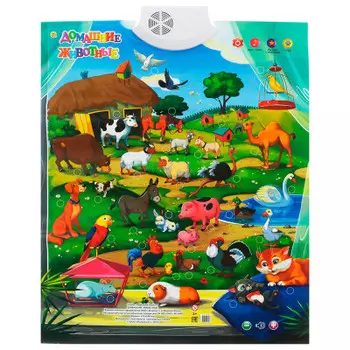 Плакат развивающий рыжий кот домашние животные зп-6518