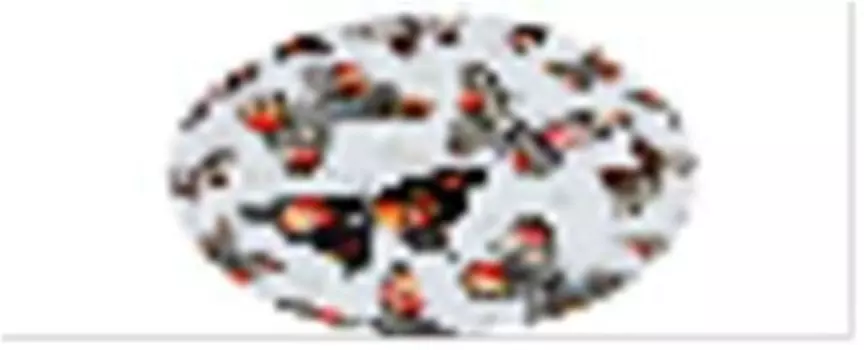 Поднос сервировочный 40 см агнесс бабочки 913-133