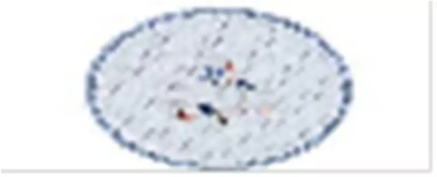 Поднос сервировочный 40 см агнесс гуси 913-131