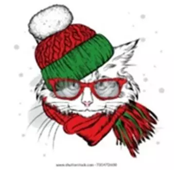 Подушка интерьерная 33*33 кот