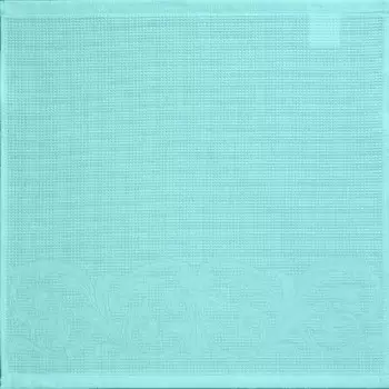 Полотенце дм 50*50 вафельное бон аппетито ментол 359-4013/55