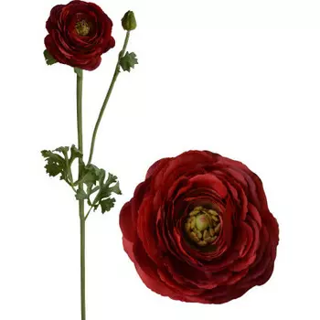 Ранункулюс красный 70см