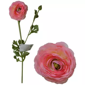 Ранункулюс светло-розовый 70см