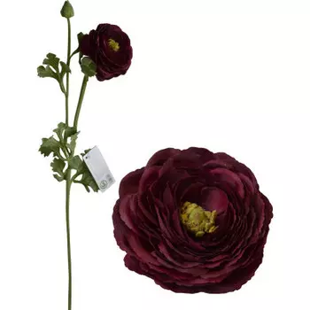 Ранункулюс тёмно-красный70см