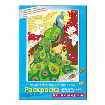 Раскраска по номерам Рыжий кот 12 цветов птицы р-3865