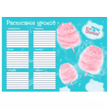 Расписание уроков феникс+ котоваты а4 60350