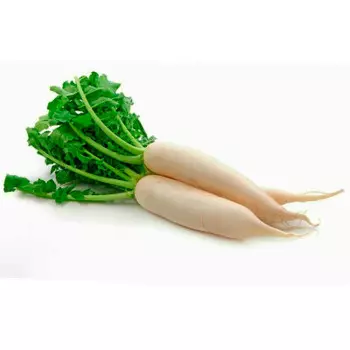 Редька дайкон вес