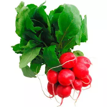 Редис пучок шт