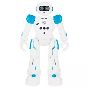 Робот интерактивный OCIE с пультом ду 1csc20004009