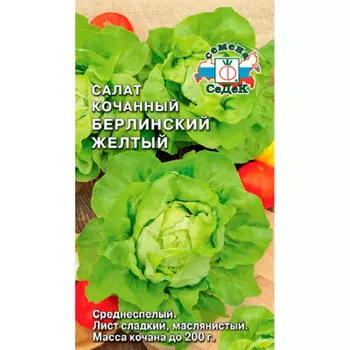 Салат берлинский желтый кочан 1г