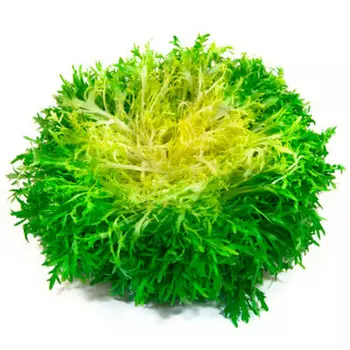 Салат фрилис 100 г шт