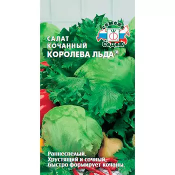Салат кочанный королева льда 0,1г