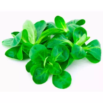 Салат корн 100 г шт