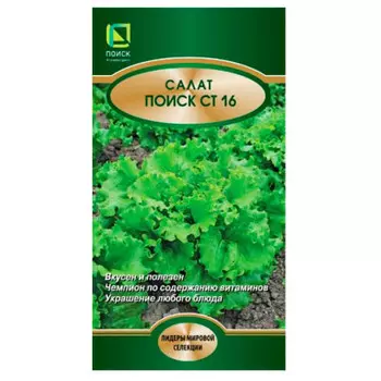 Салат листовой поиск ст16 1 г поиск