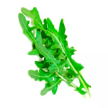 Салат руккола вес