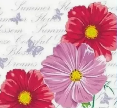 Салфетки десна космея 40 шт