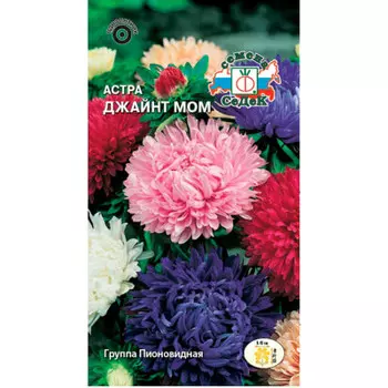 Семена цветка Астра Джайнт мом пионовидная смесь 0,2г