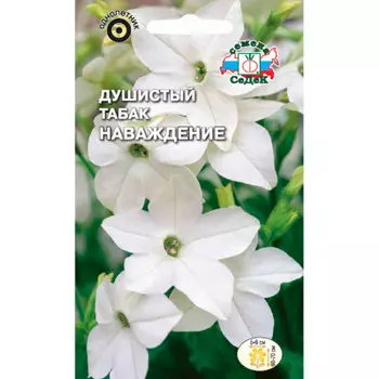 Семена цветка Душистый табак наваждение белый 0,1г