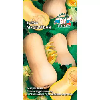 Семена тыквы Мускатная
