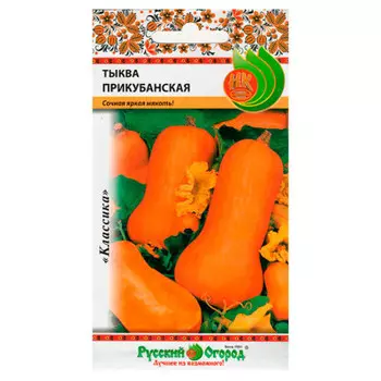 Семена тыквы Прикубанская 2г 304219