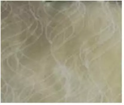 Штора диана 020 tule t 240*280