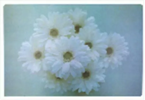 Скатерть-салфетка фрукты овощи 60*90см g17-l