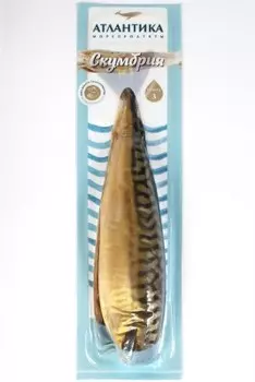 Скумбрия атлантика 300 г б/г х/к в/у