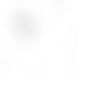 Сланцы женские бриз