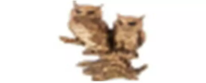 Статуэтка совы 16.5*11*26 см лефард 146-1475