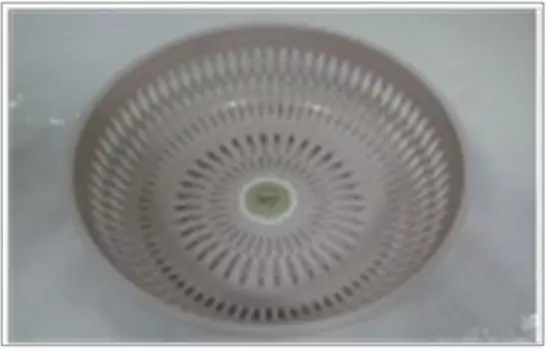 Сухарница 26*26*8см абсолют хоум розовая 0097