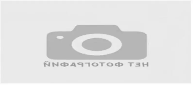 Сумка-чемодан гудиер на колесах с выдвижной ручкой 22*38*55 см gy-07